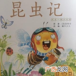 昆虫记石蚕的特点,昆虫记写了哪些昆虫？