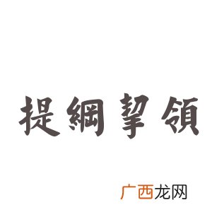 什么纲什么领成语,什么男挈手成语？