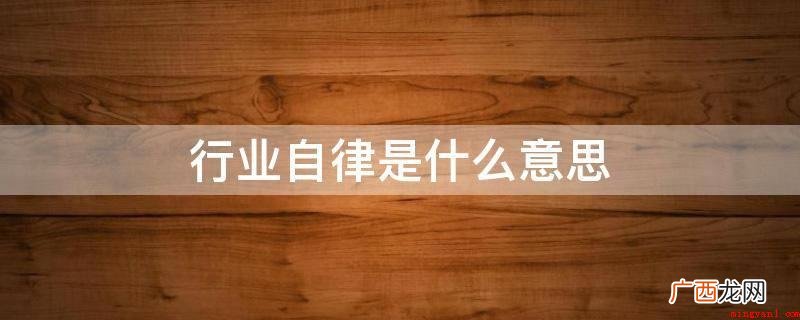 行业自律是为了更好地标准行业个人行为,融洽同行业利益关系 行业自律是什么意思