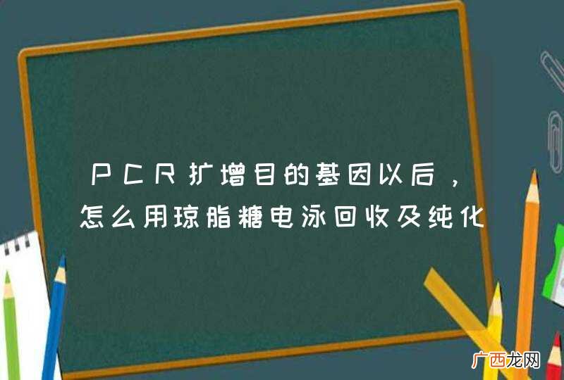 PCR扩增目的基因以后，怎么用琼脂糖电泳回收及纯化呢？希望高手指教！