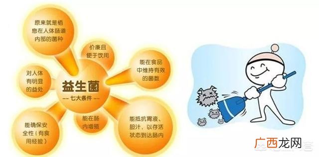 益生菌的作用与功效,益生菌的功效有哪些呢？