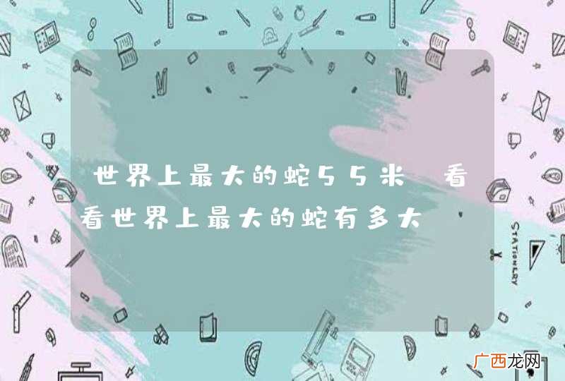 世界上最大的蛇55米 看看世界上最大的蛇有多大