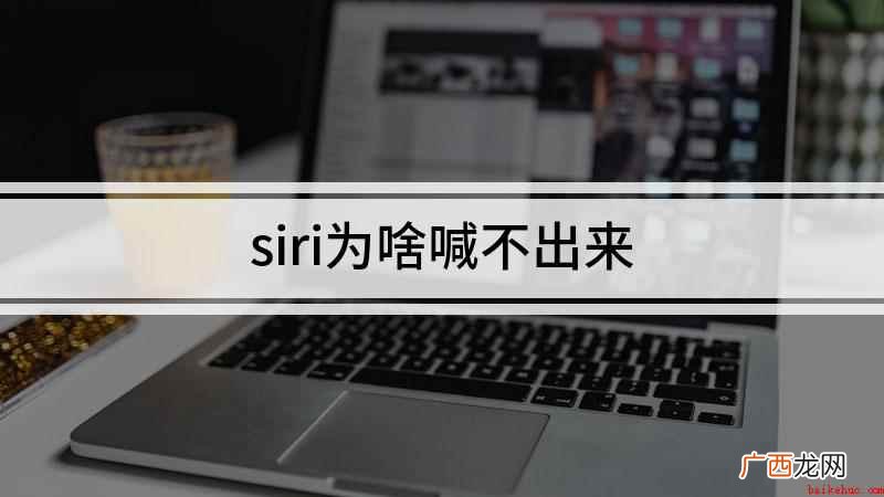iPhone 11,适用系统:ios 13.5 siri为啥喊不出来