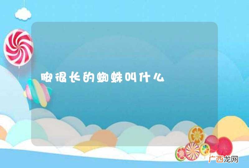 脚很长的蜘蛛叫什么