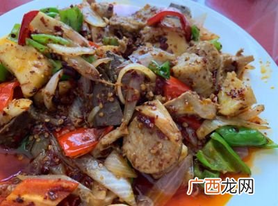 肺怎么炒好吃,干煸肺叶做法？