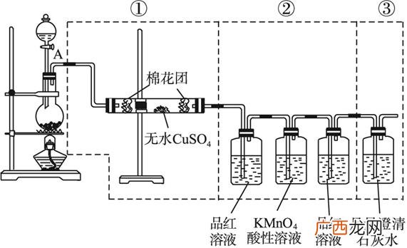 浓硫酸与碳反应如何检验其产物,碳和硫酸反应方程？