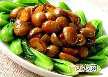 怎么炒草菇,茅草菇怎么清洗干净？