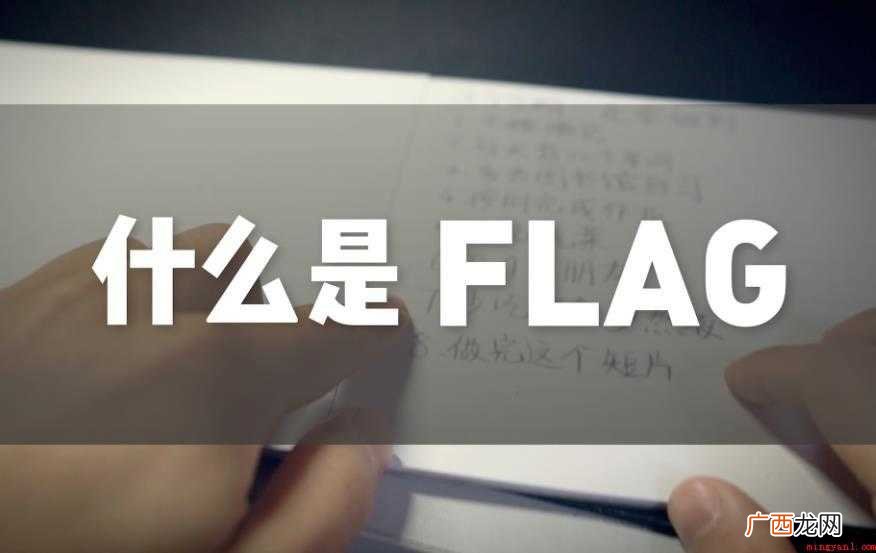 关于flag是什么意思 flag是什么意思