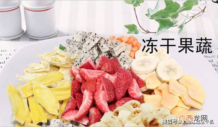 冻干食品是怎么做的,仓鼠冻干怎么制作？