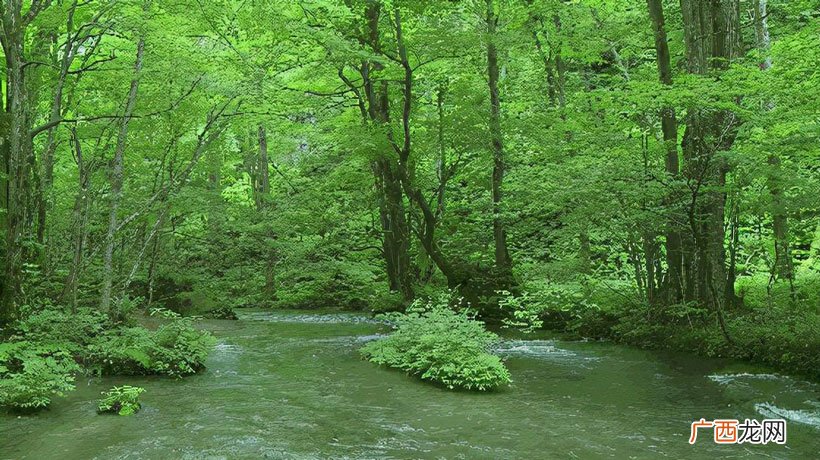 是为了纪念哪位名人 植树节是4月5日还是3月12日