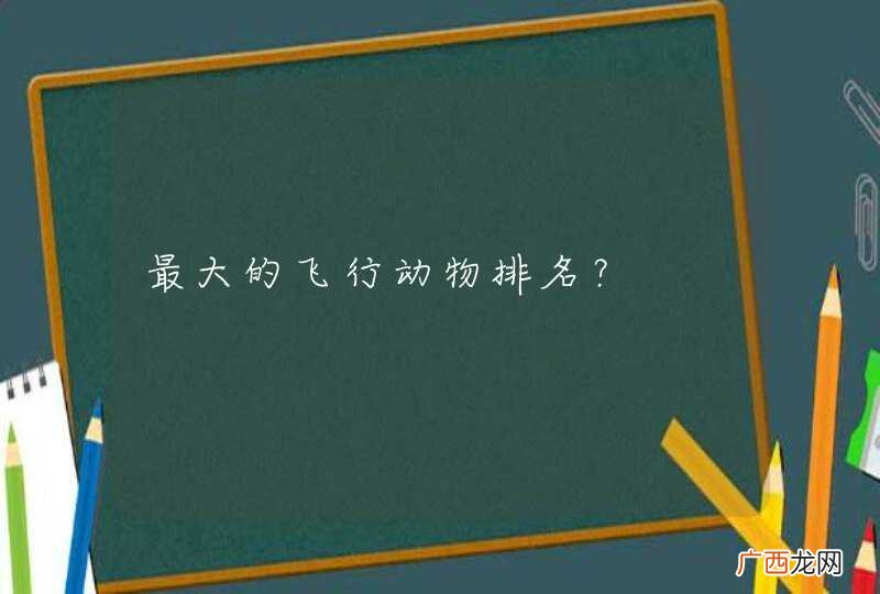 最大的飞行动物排名？