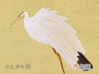 鹭鸶古诗意思,鸳鸿在李白的哪句诗里？