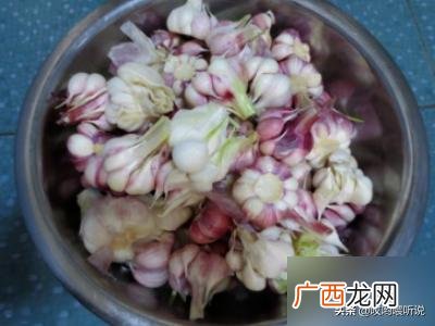 糖醋蒜的腌制方法,淹制糖蒜方法？