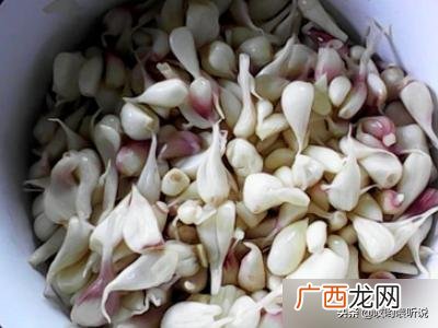 糖醋蒜的腌制方法,淹制糖蒜方法？