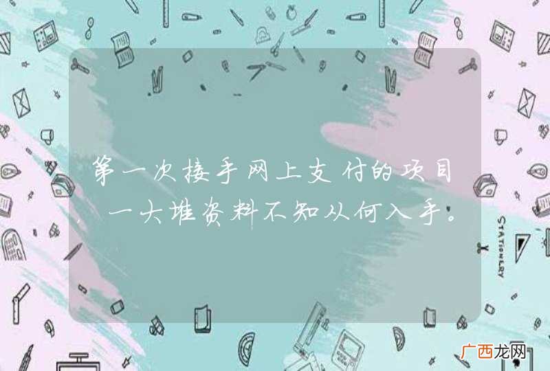 ASP.NET 第一次接手网上支付的项目，一大堆资料不知从何入手。