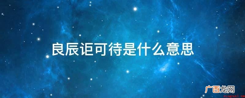 良辰:实现壮志的好日子 良辰讵可待是什么意思