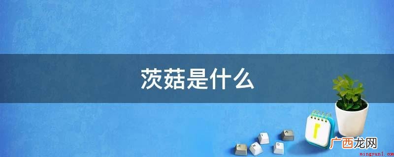 茨菇为泽泻科多年生沼泽草本,原产我国东南部,性喜温暖湿润及富 茨菇是什么