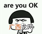 一个被手机行业耽搁的英语鬼蓄女歌手 雷军是什么意思