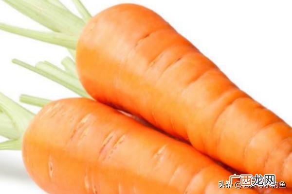 胡萝卜干的晒制方法,胡萝卜储存方法?