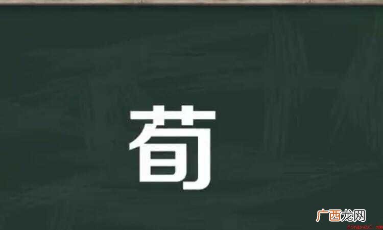荀的组词有哪些