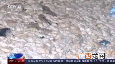 海洋鼻涕是怎么形成的,海底小纵队鼻涕团是第几集？