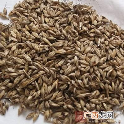 焦麦芽怎么炒用什么火,三仙炭的别名？