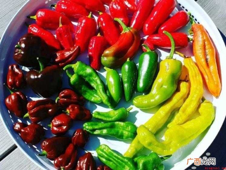 葱类蔬菜最好的吃法是生食或短时间清炒 辛辣食物都有哪些
