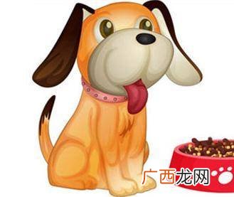 夫人是指哪一个生肖,(嫁）字解什么生肖？
