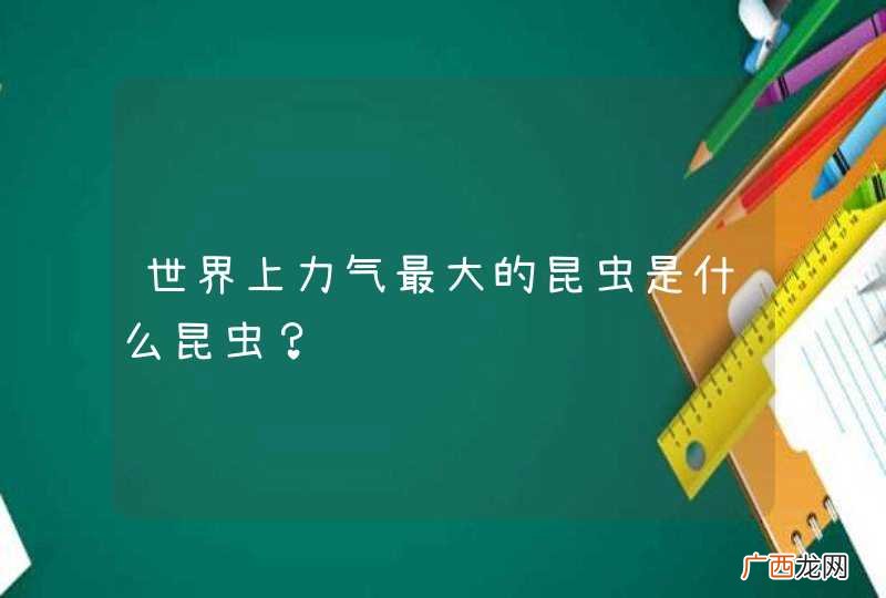 世界上力气最大的昆虫是什么昆虫？