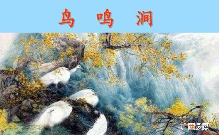 《鸟鸣涧》的意思是什么