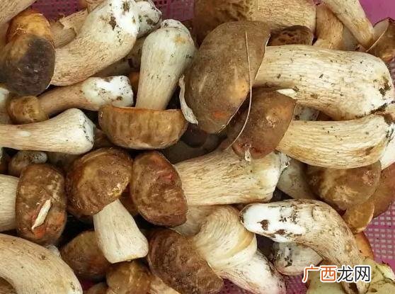 马勃菌切开是黑色的可以吃吗,菌马勃怎么做好吃，炒野生菌马勃的家常做法？