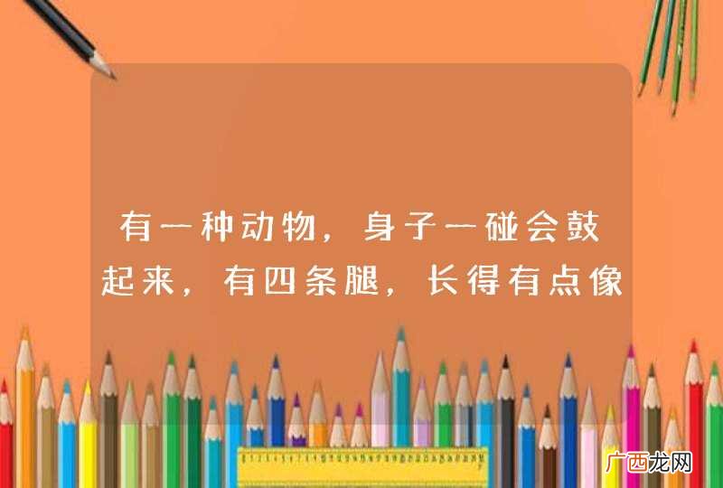 有一种动物，身子一碰会鼓起来，有四条腿，长得有点像癞蛤蟆，还会叫，喜欢在土里呆着，这是什么动物呢