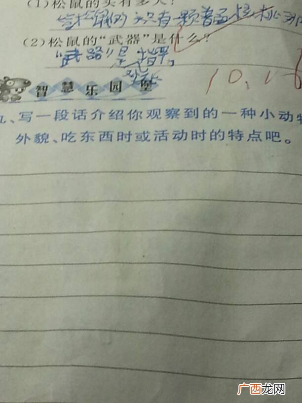 写一种小动物的外形特点写一段话,仿写松鼠第一自然段外貌描写？