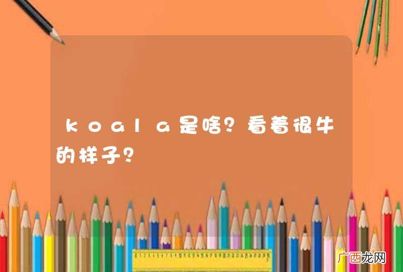 koala是啥？看着很牛的样子？