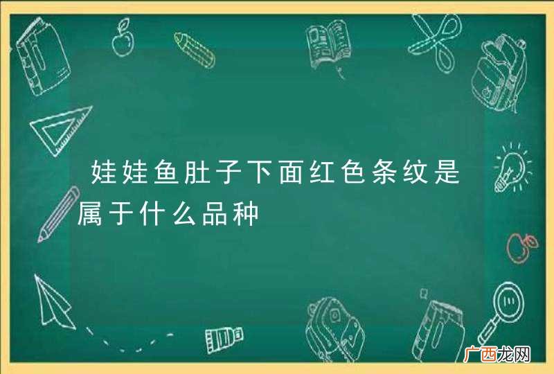 娃娃鱼肚子下面红色条纹是属于什么品种