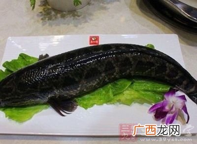 黑鱼怎么做好吃,黑鱼棒子的家常做法？
