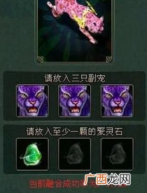 问道精怪怎么升阶,问道坐骑怎样升阶？