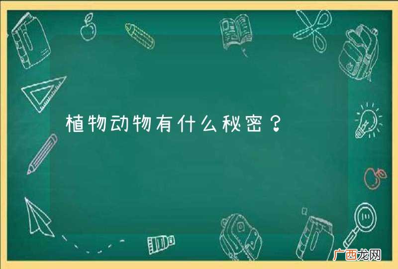 植物动物有什么秘密？