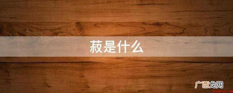 五谷中所说的并不一定的豆,反而是大豆 菽是什么