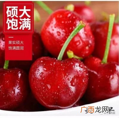 樱桃美早和红灯的区别,大红灯是什么水果？