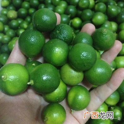 海南青金桔怎么吃,山桔甜吗?