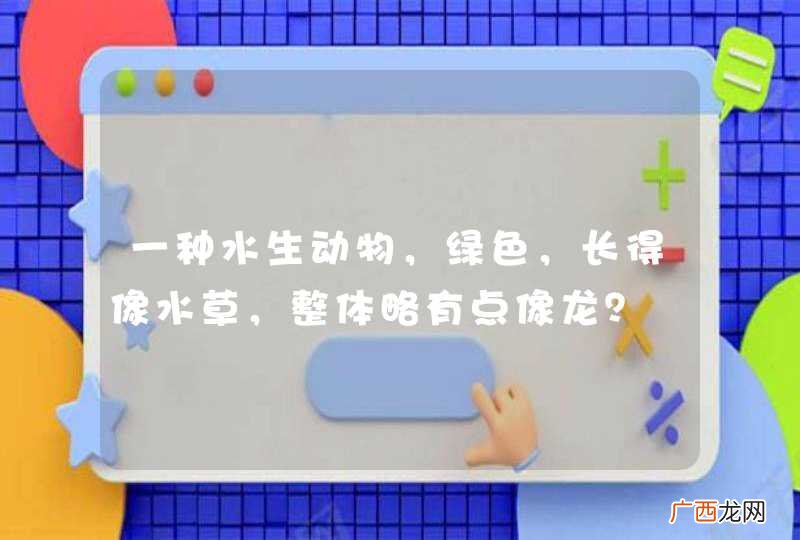 一种水生动物，绿色，长得像水草，整体略有点像龙？
