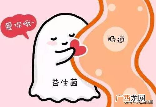 猫不拉屎的原因是什么,我的小猫不拉大便,怎么办?