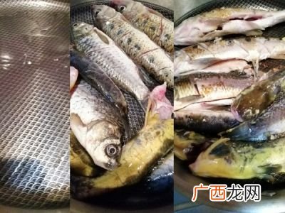 凉鱼鱼怎样做,冻黄鱼怎么做好吃？