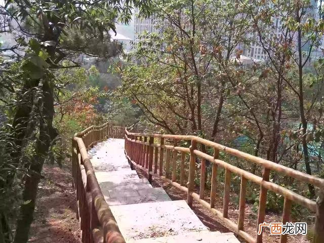 树的好处,大自然对我们的好处有什么？