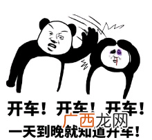 指废文网边限tag下的内容是高/H,N/P,骨科等各种忌讳见 边限文是什么意思