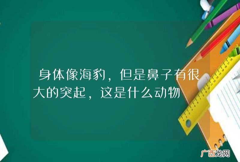 身体像海豹,但是鼻子有很大的突起,这是什么动物