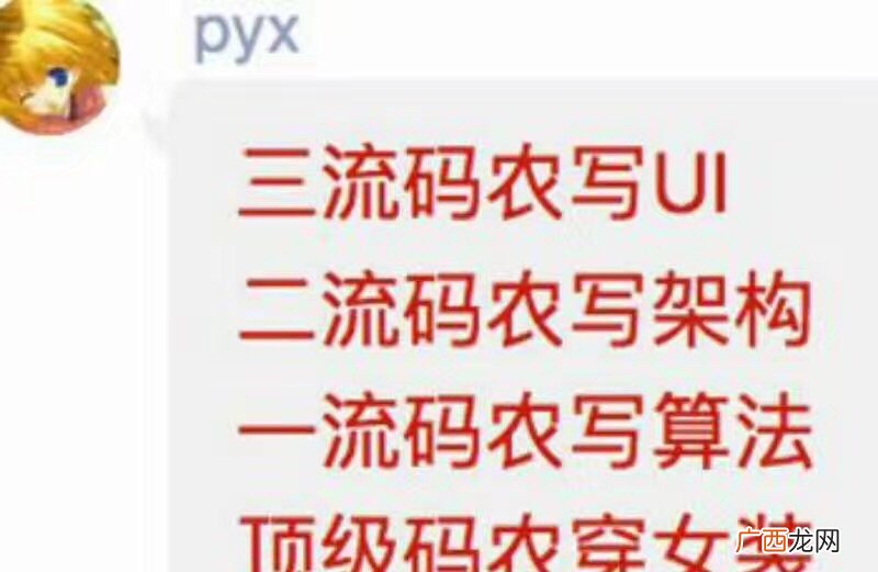 一类把有机食物转换为计算机程序的当代人猿智人 程序员是什么梗