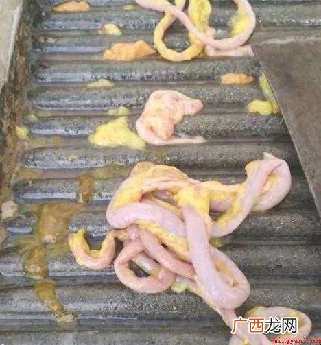 鸡肠怎么清洗 网友们了解一下 鸡肠怎么清洗