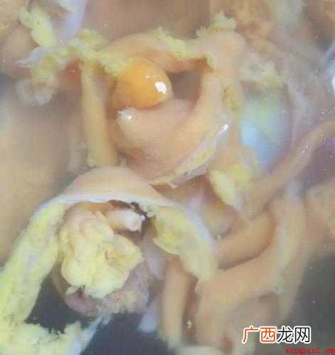 鸡肠怎么清洗 网友们了解一下 鸡肠怎么清洗